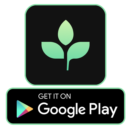 Get it on Google Play