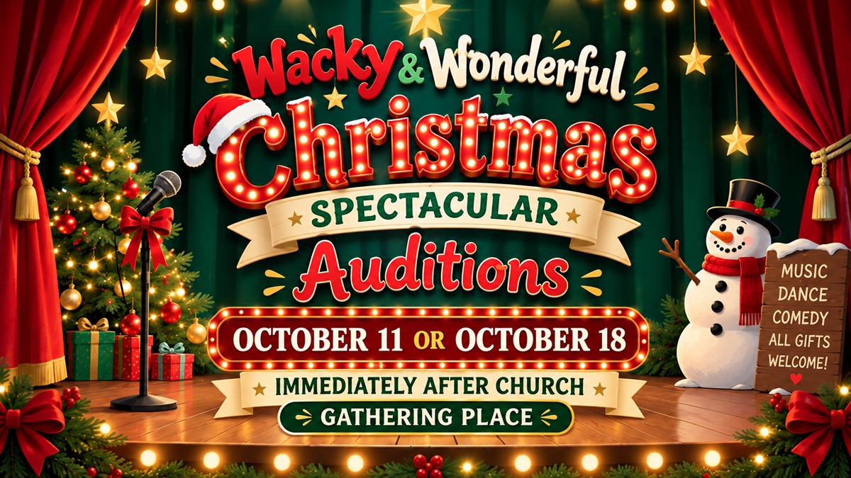 Wacky & Wonderful Christmas Auditions