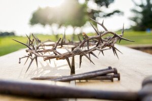 Crown Of Thorns Hammer Nails