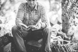 Man Reading Bible on Wood Pile