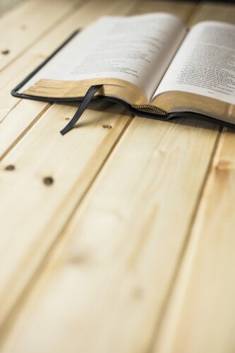 Open Bible On Light Wood
