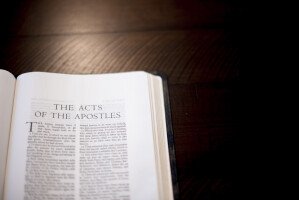Acts
