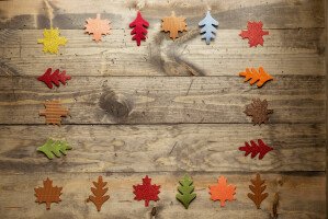 Fall Leavs Harvest Flatlay Wood (2)