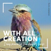Revelation Song