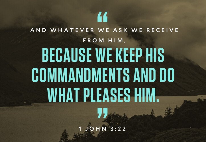 1 John 3 22